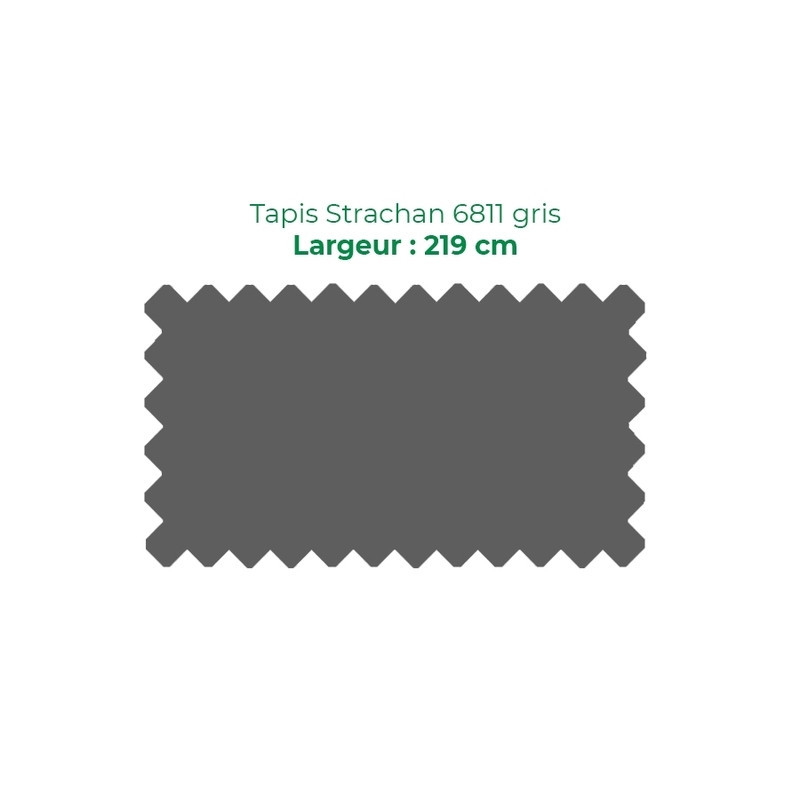 Tapis 6811 Strachan Pool,219 cm Gris WoE