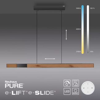 Luminaire LED CCT PURE-MOTO RISE (avec télécommande)